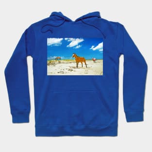 Wild Horses of Cumberland Hoodie